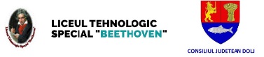 Liceul Tehnologic Special Beethoven
